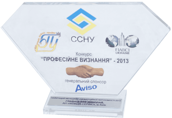 конкурс професійне визнання 2013